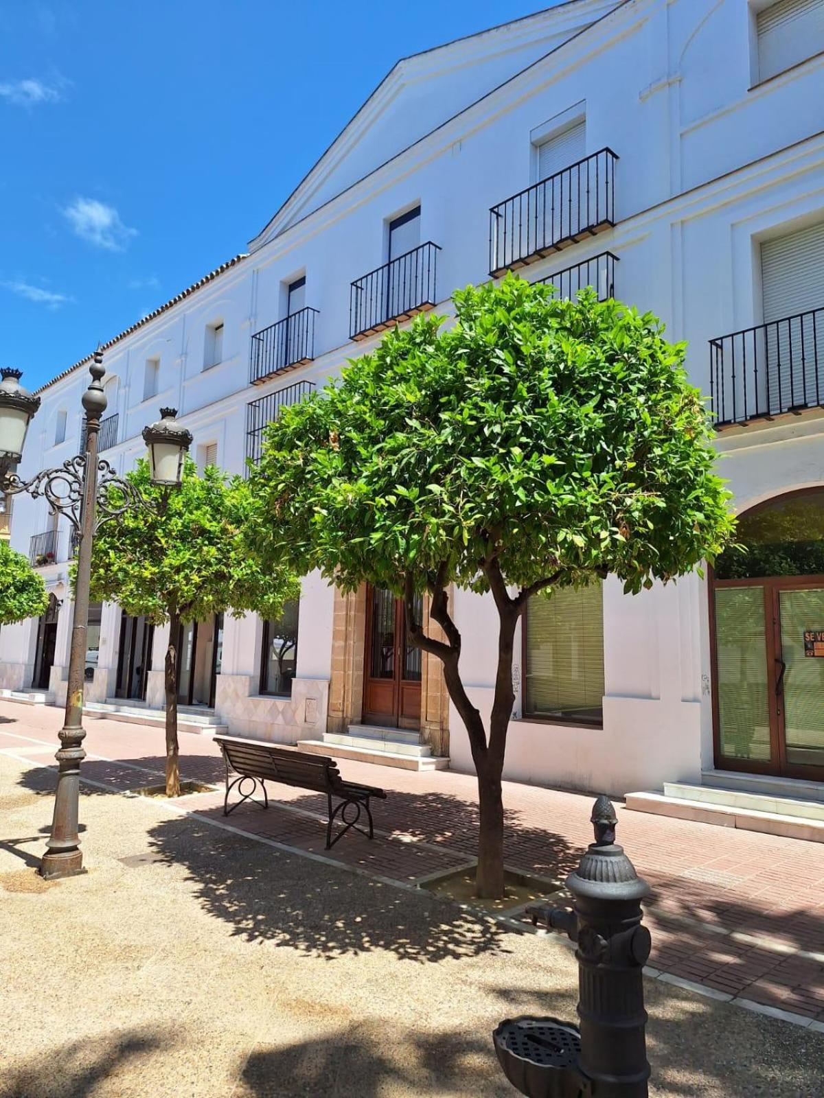 Cabildo Plaza 1 Sanlucar de Barrameda
