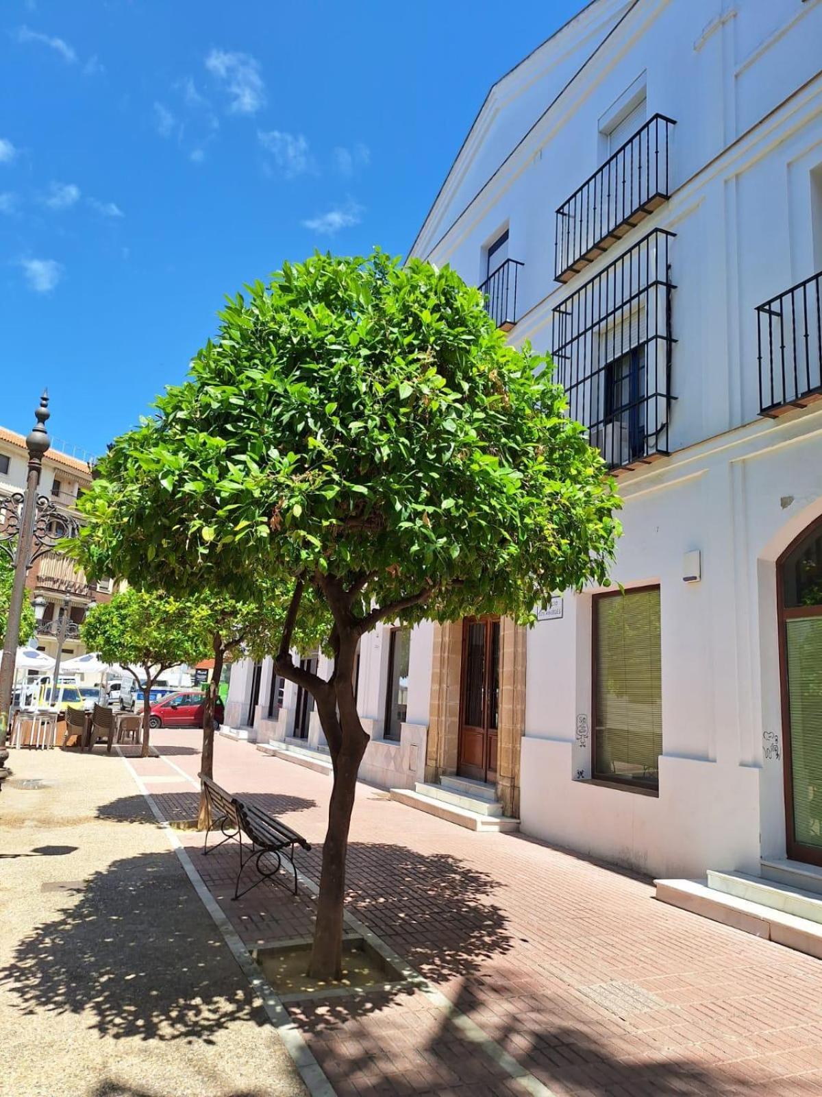 Cabildo Plaza 1 Apartament